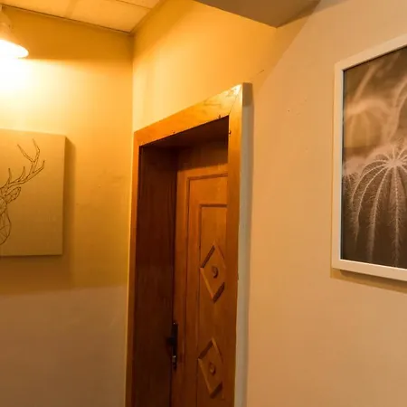 Oleander & Guest house *