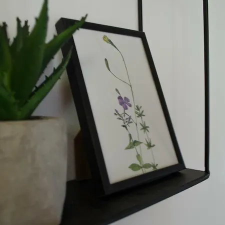 Oleander & Guest house
